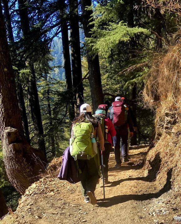 Trekkers on the forest path