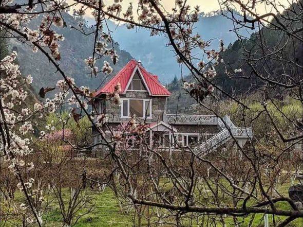 Orchard Villa framed by spring blossom