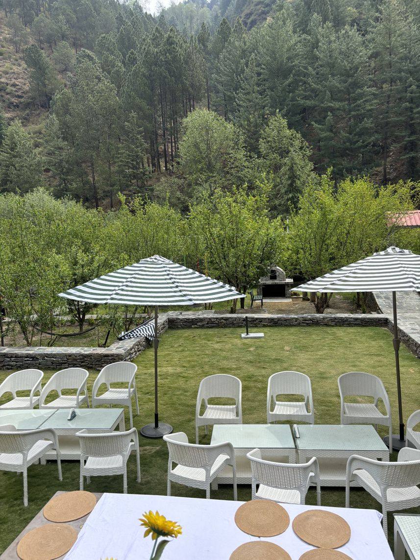 White chairs and umbrellas set on the green lawn
