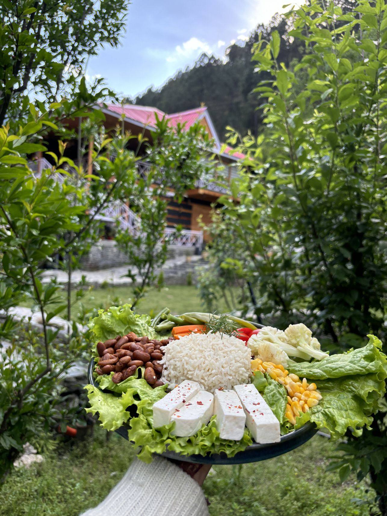 Farm-fresh platter of cheese, fruit and salad