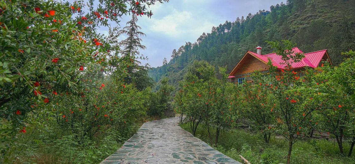 Stone path through the fruit orchard to a red-roofed villa