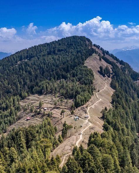 Ridge trail winding through deodar forest towards Chambagarh