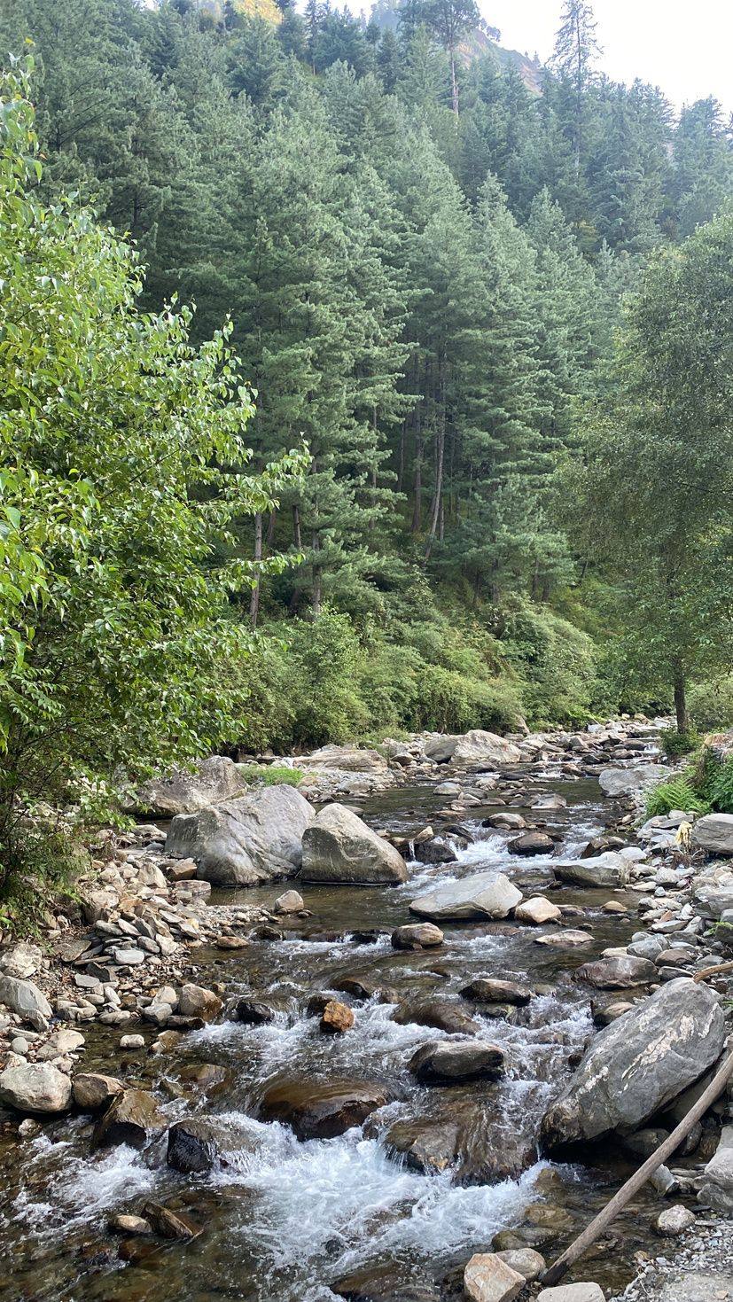 Clear mountain river tumbling over rocks
